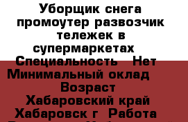 Уборщик снега,промоутер,развозчик тележек в супермаркетах. › Специальность ­ Нет › Минимальный оклад ­ 10 000 › Возраст ­ 16 - Хабаровский край, Хабаровск г. Работа » Резюме   . Хабаровский край,Хабаровск г.